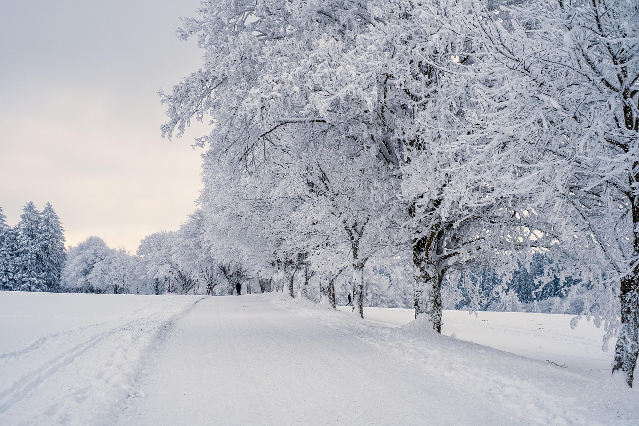 ドライブデートで冬の雪道を安全に楽しむための注意点は？