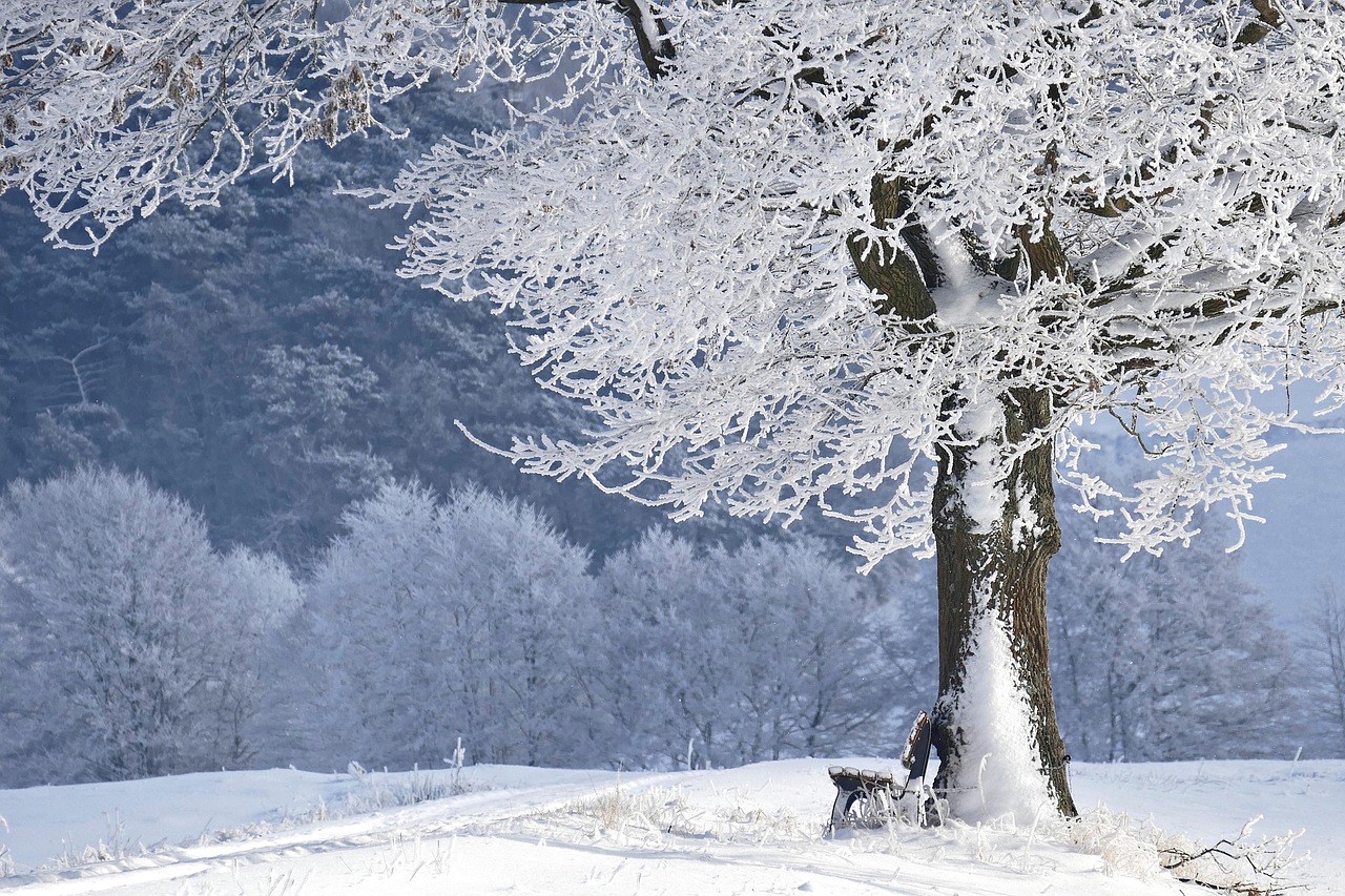 ドライブデートで冬の雪道を走る際の注意点は？