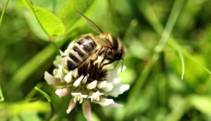 bumbleで冬に女性主導の出会いを攻略する方法は？