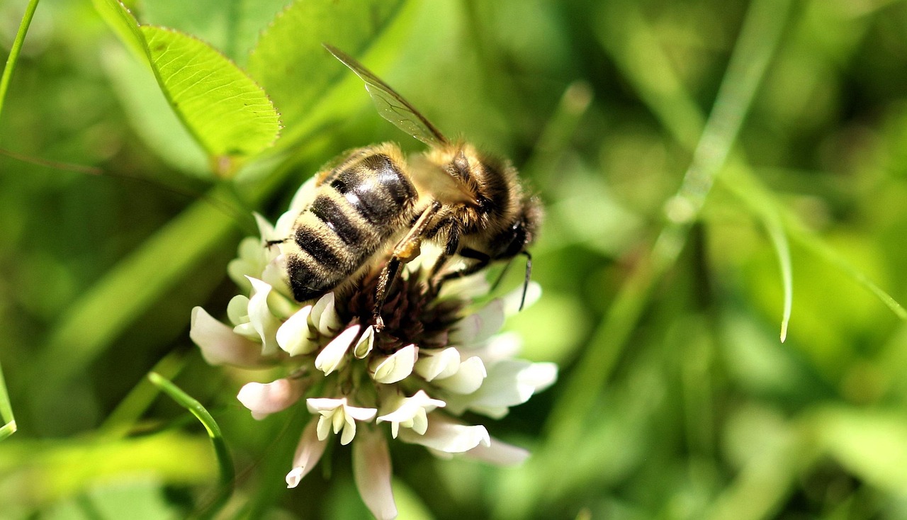 bumbleで冬に女性主導の出会いを攻略する方法は？