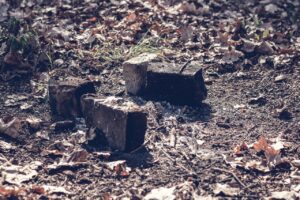 tinderを使った冬の彼女作りのコツは？