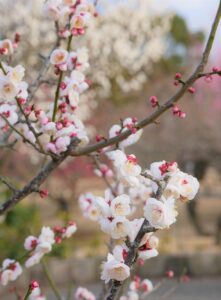 with冬にぴったりな相性診断の活用法は？