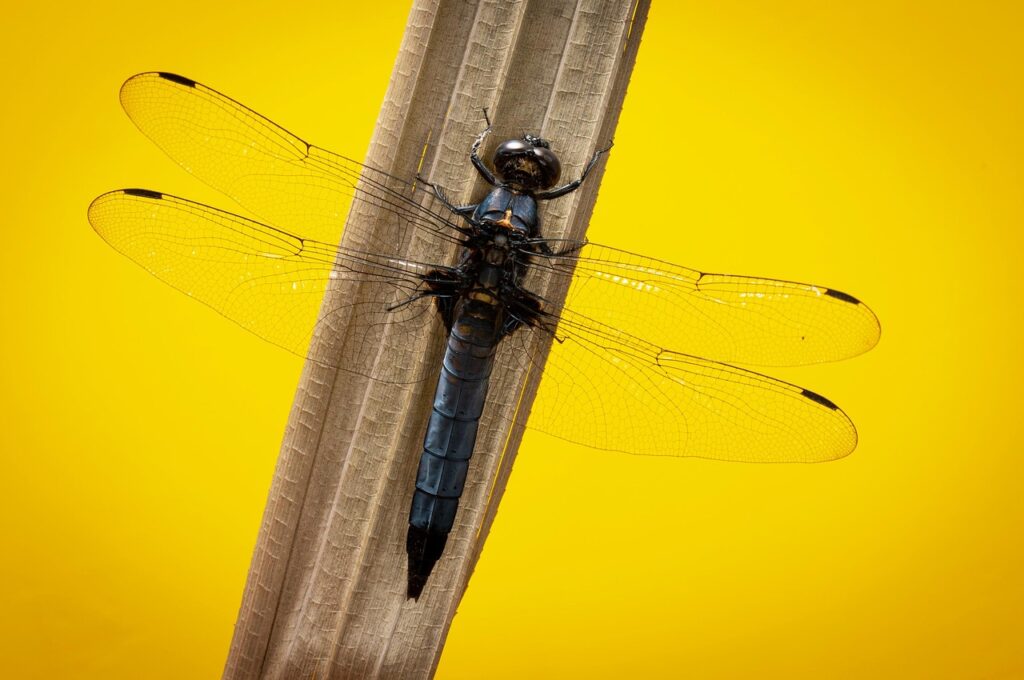 初デートにぴったりの温泉はどこ？