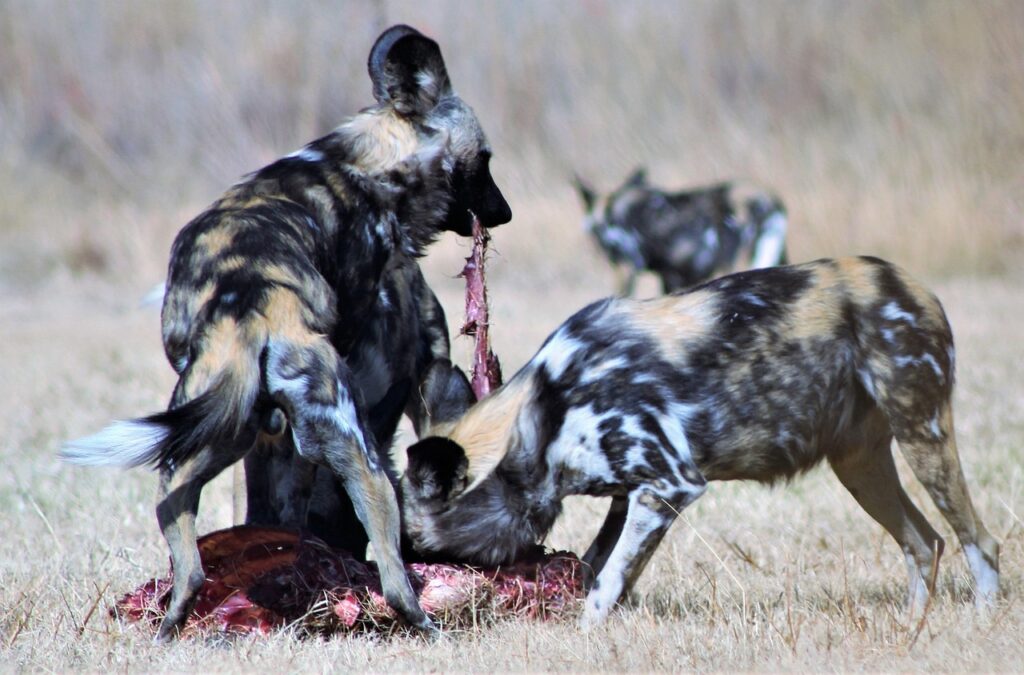 年末年始におすすめのマッチングアプリ活用法は？