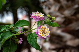 マッチングアプリで面倒な返信の続け方は？