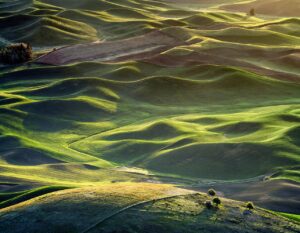 冬時期にSNSでいいねを増やす方法は？