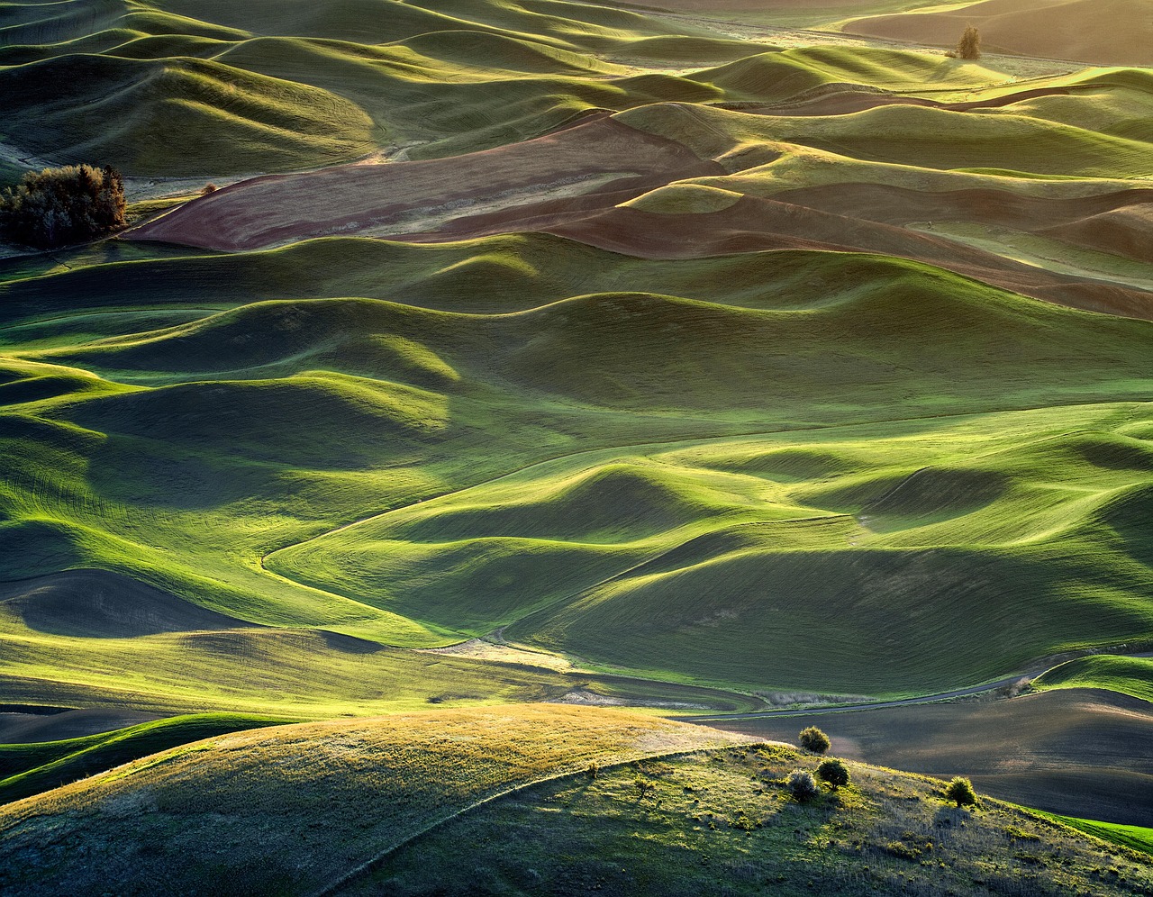 冬時期にSNSでいいねを増やす方法は？