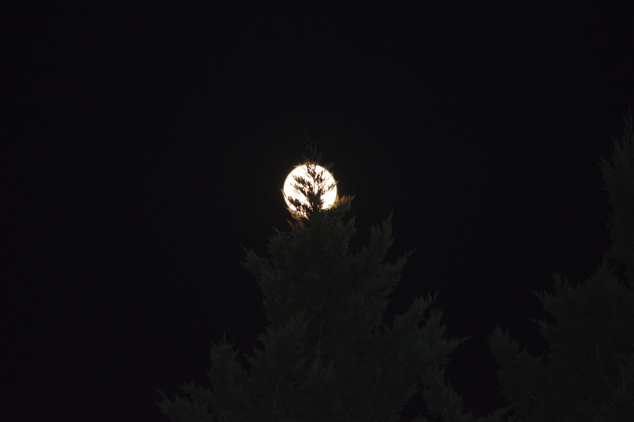 冬限定キャンペーンで料金が安いアプリはどれですか？