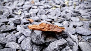 冬限定キャンペーンの料金が安いアプリはどれ？