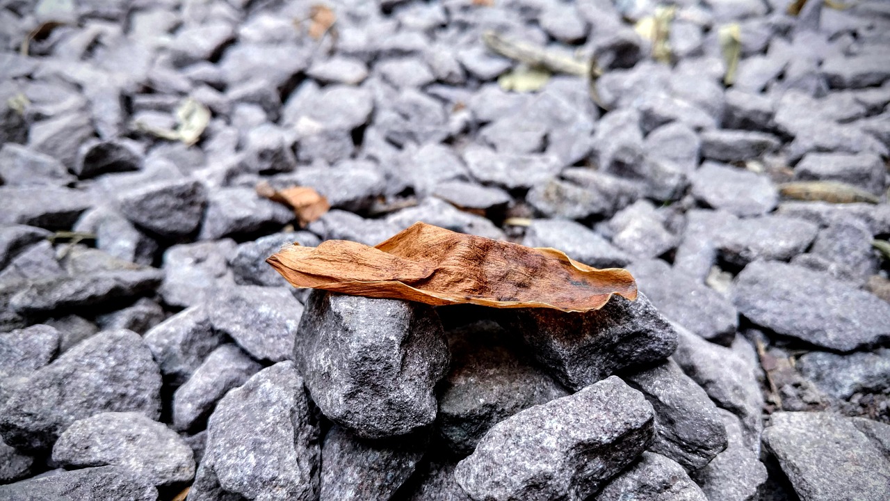 冬限定キャンペーンの料金が安いアプリはどれ？