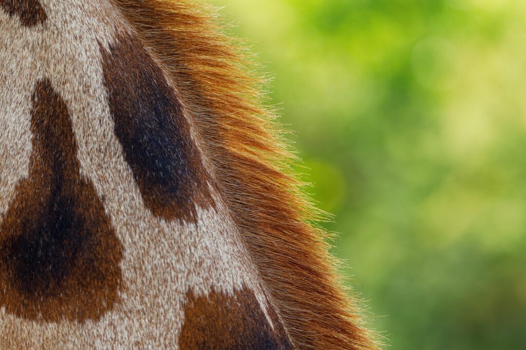 年末までに彼女を作るためのコツとおすすめアプリは？