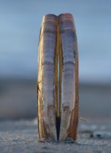 冬に安心感を求めるためのおすすめ対策は？