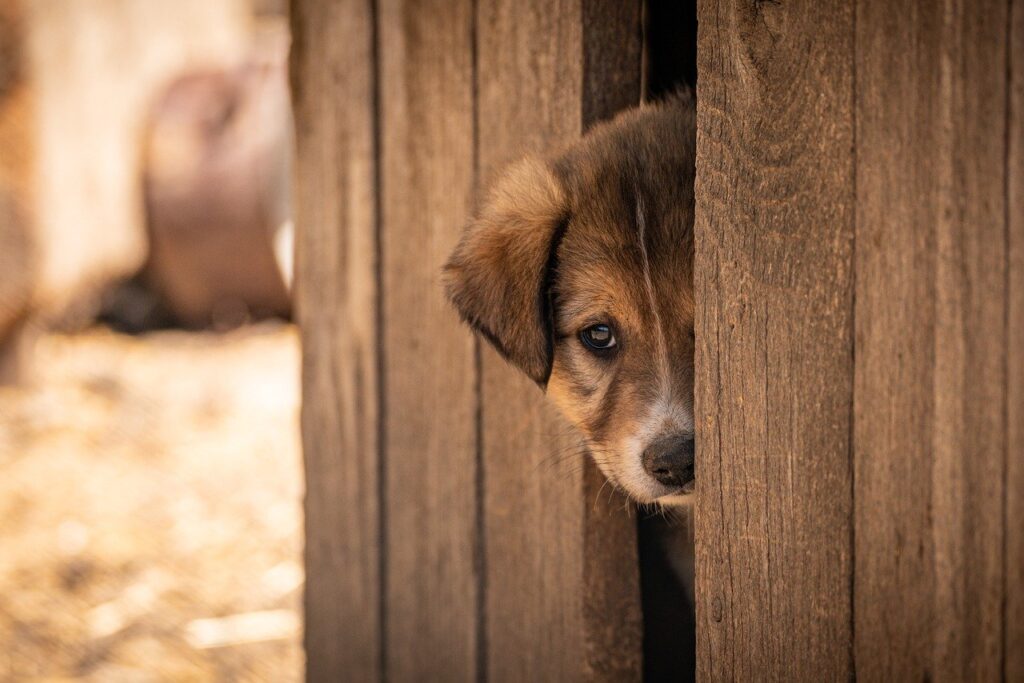冬の休日に一人で楽しめる過ごし方は？