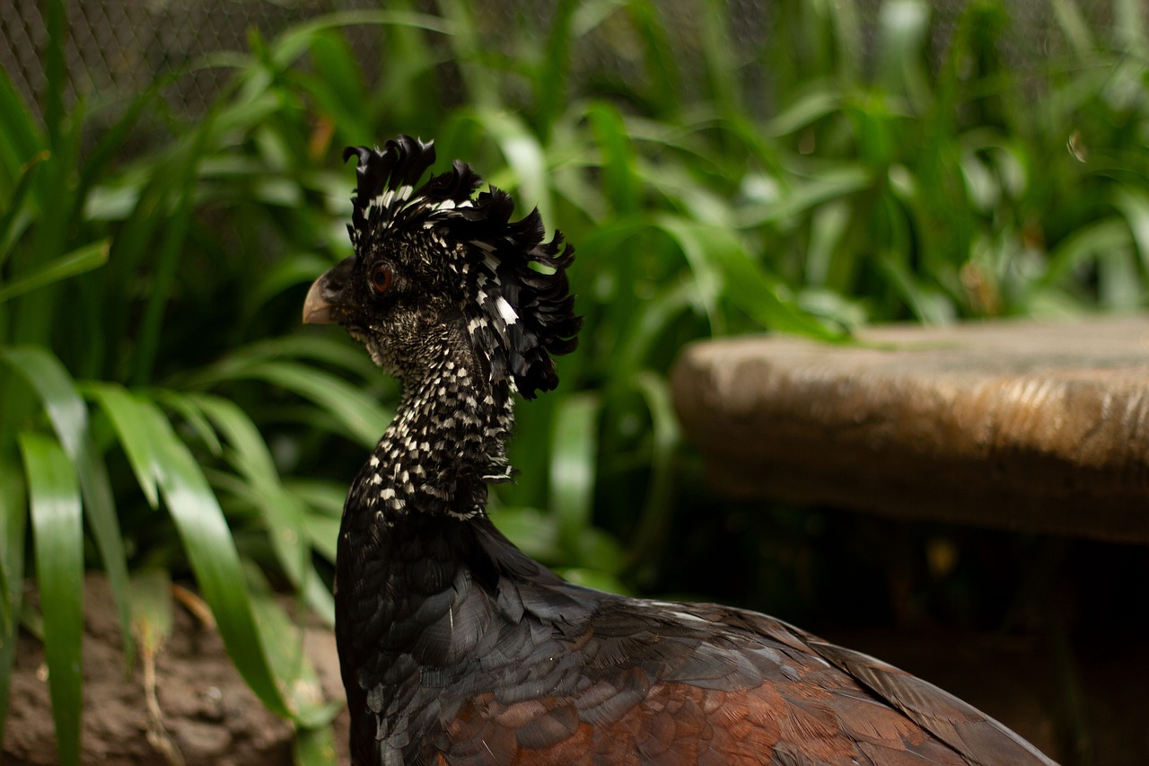 年末年始に寂しい気持ちを解消する恋愛のアプローチは？