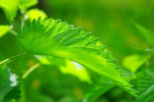冬にセロトニンが低下する恋愛の影響とは？