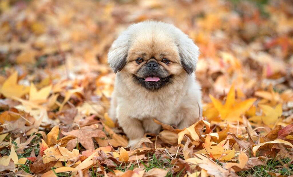 恋人が欲しいと感じる時、どう対処すればいいの？