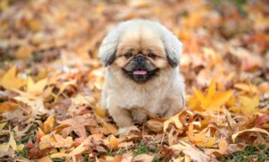 恋人が欲しいと感じる時、どう対処すればいいの？